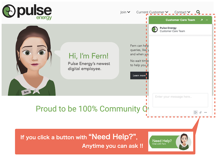 Pulse-Energy-chat-support-service