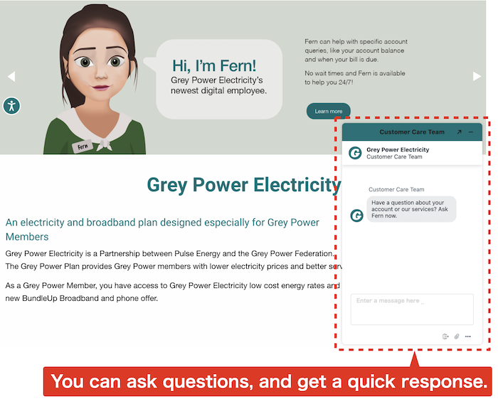Grey-Power-Electricity-chat-service