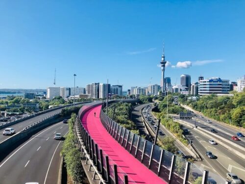 new-zealand-drive