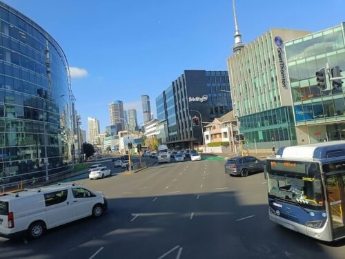 new-zealand-drive