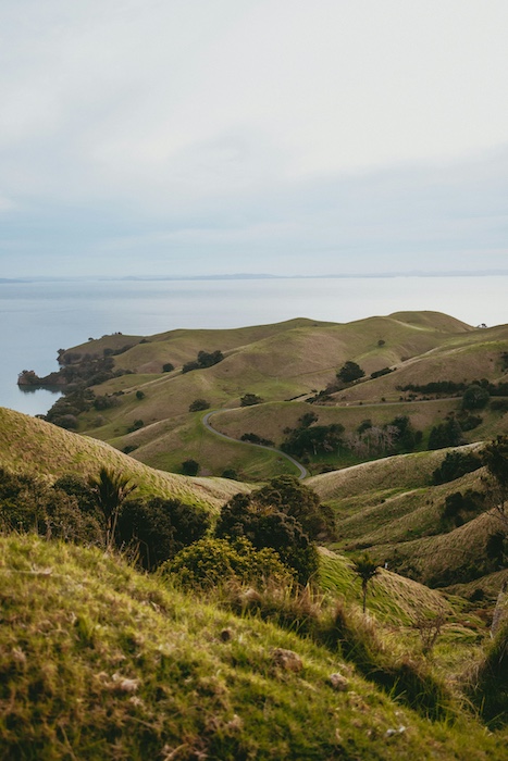Coromandel-drive-route